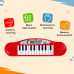 Battery Operated Multi-Functional Portable Organ/Piano/Keyboard